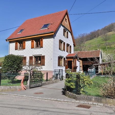 Spacieux et confortables gîtes à proximité randonnées, lacs, ski nature Sondernach Exterior foto