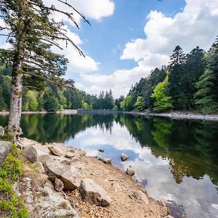 Spacieux et confortables gîtes à proximité randonnées, lacs, ski nature Sondernach Exterior foto