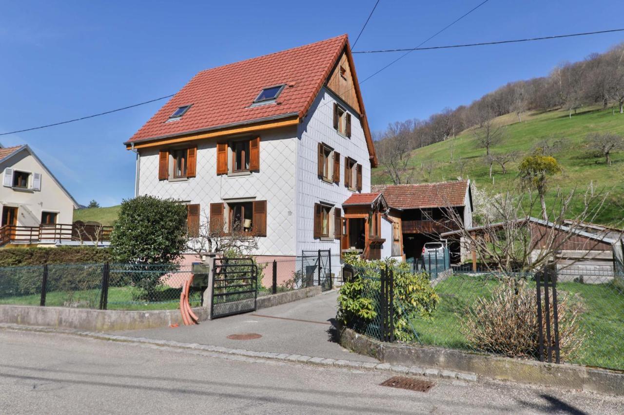 Spacieux et confortables gîtes à proximité randonnées, lacs, ski nature Sondernach Exterior foto