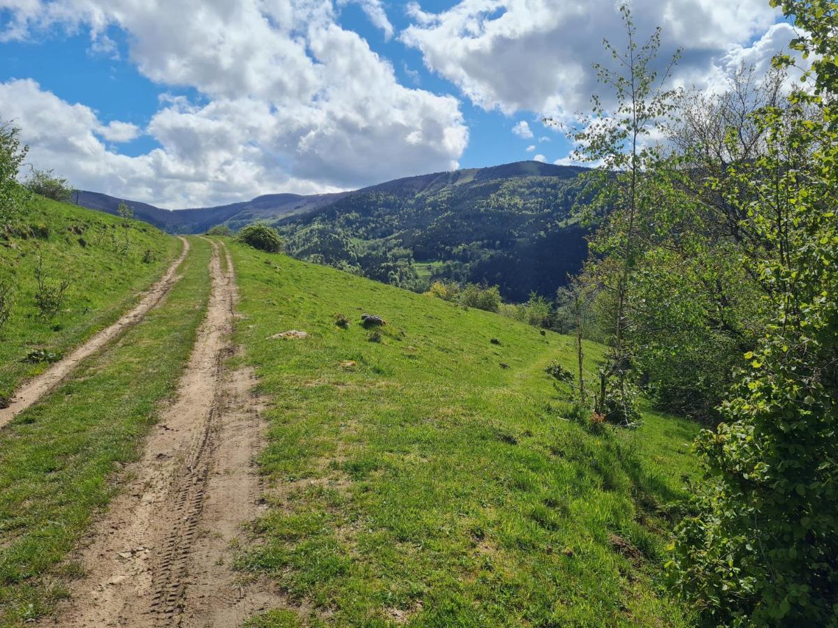 Spacieux et confortables gîtes à proximité randonnées, lacs, ski nature Sondernach Exterior foto