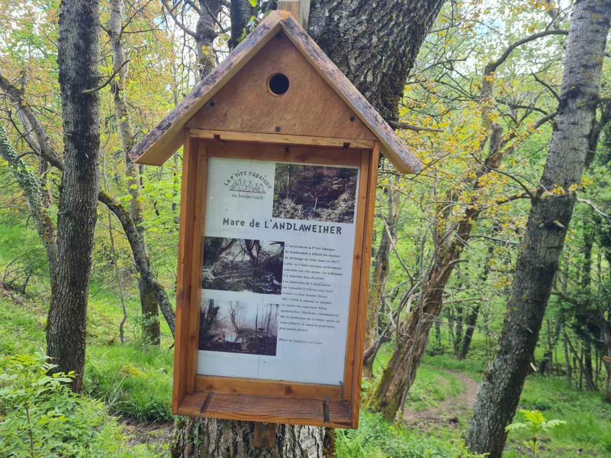 Spacieux et confortables gîtes à proximité randonnées, lacs, ski nature Sondernach Exterior foto