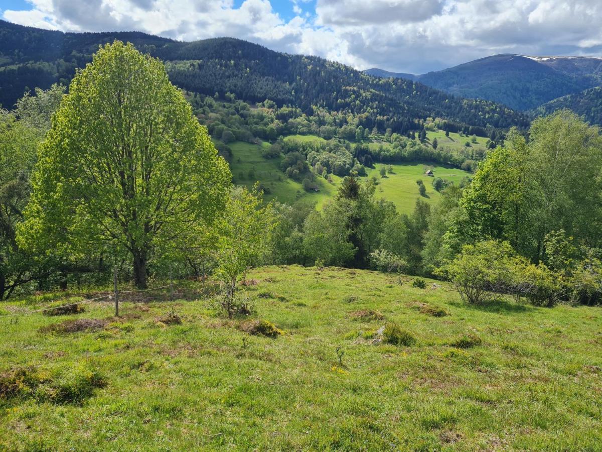 Spacieux et confortables gîtes à proximité randonnées, lacs, ski nature Sondernach Exterior foto