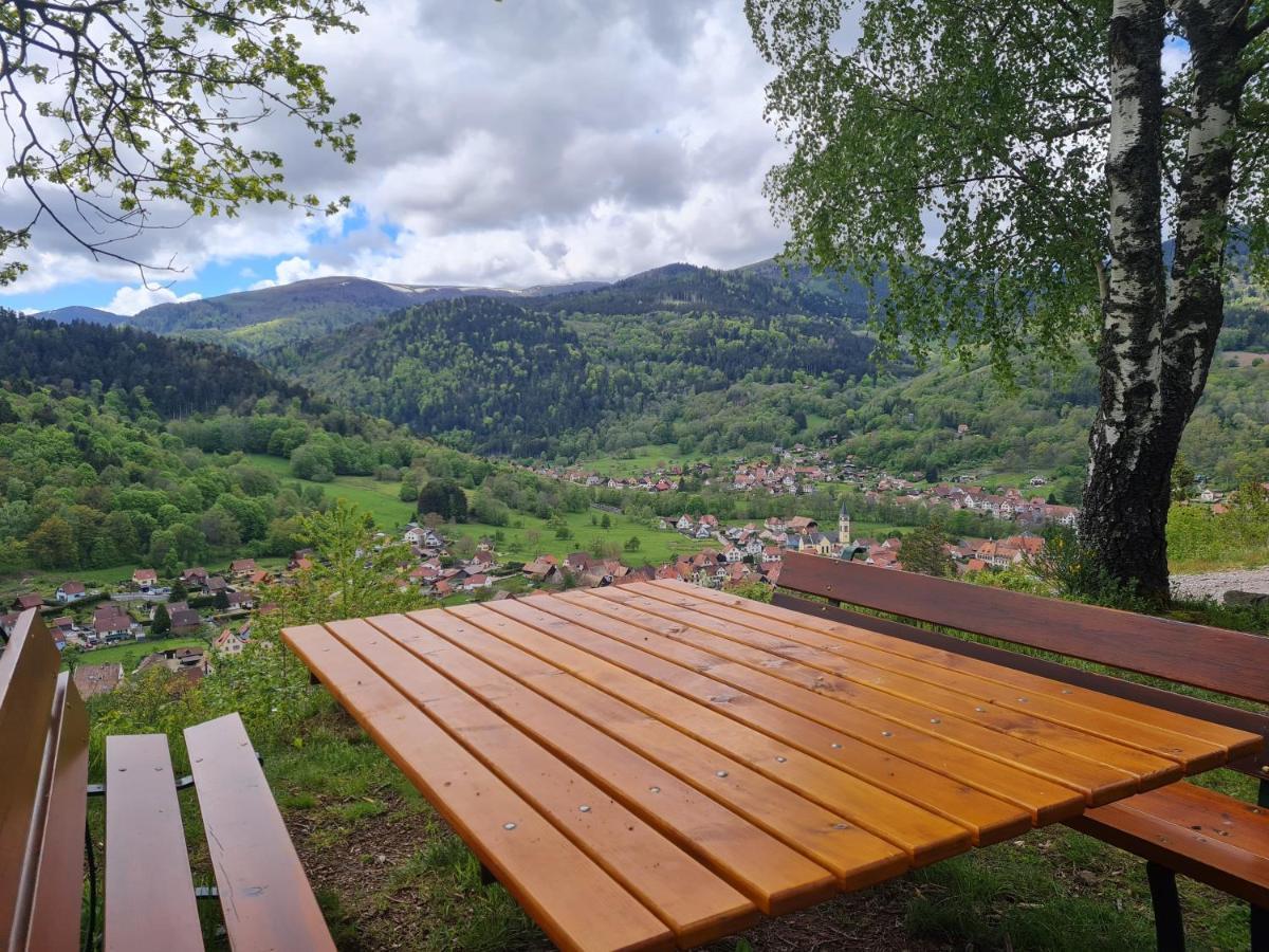 Spacieux et confortables gîtes à proximité randonnées, lacs, ski nature Sondernach Exterior foto