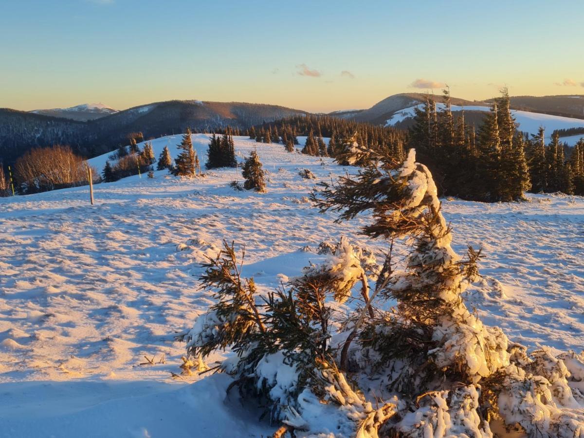 Spacieux et confortables gîtes à proximité randonnées, lacs, ski nature Sondernach Exterior foto