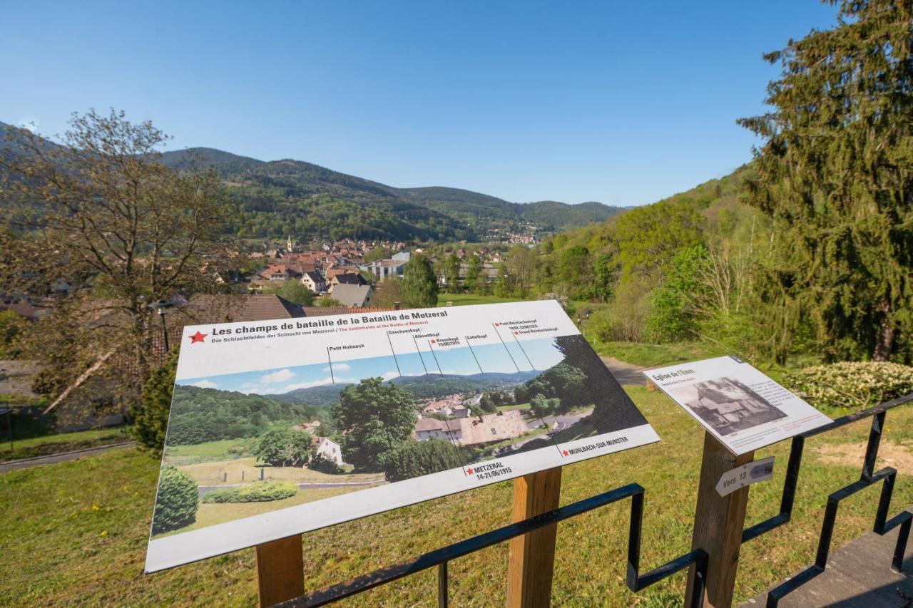 Spacieux et confortables gîtes à proximité randonnées, lacs, ski nature Sondernach Exterior foto