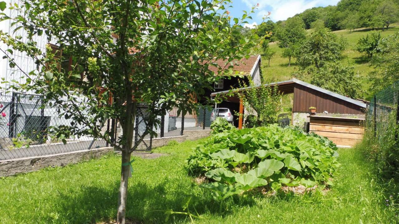 Spacieux et confortables gîtes à proximité randonnées, lacs, ski nature Sondernach Exterior foto