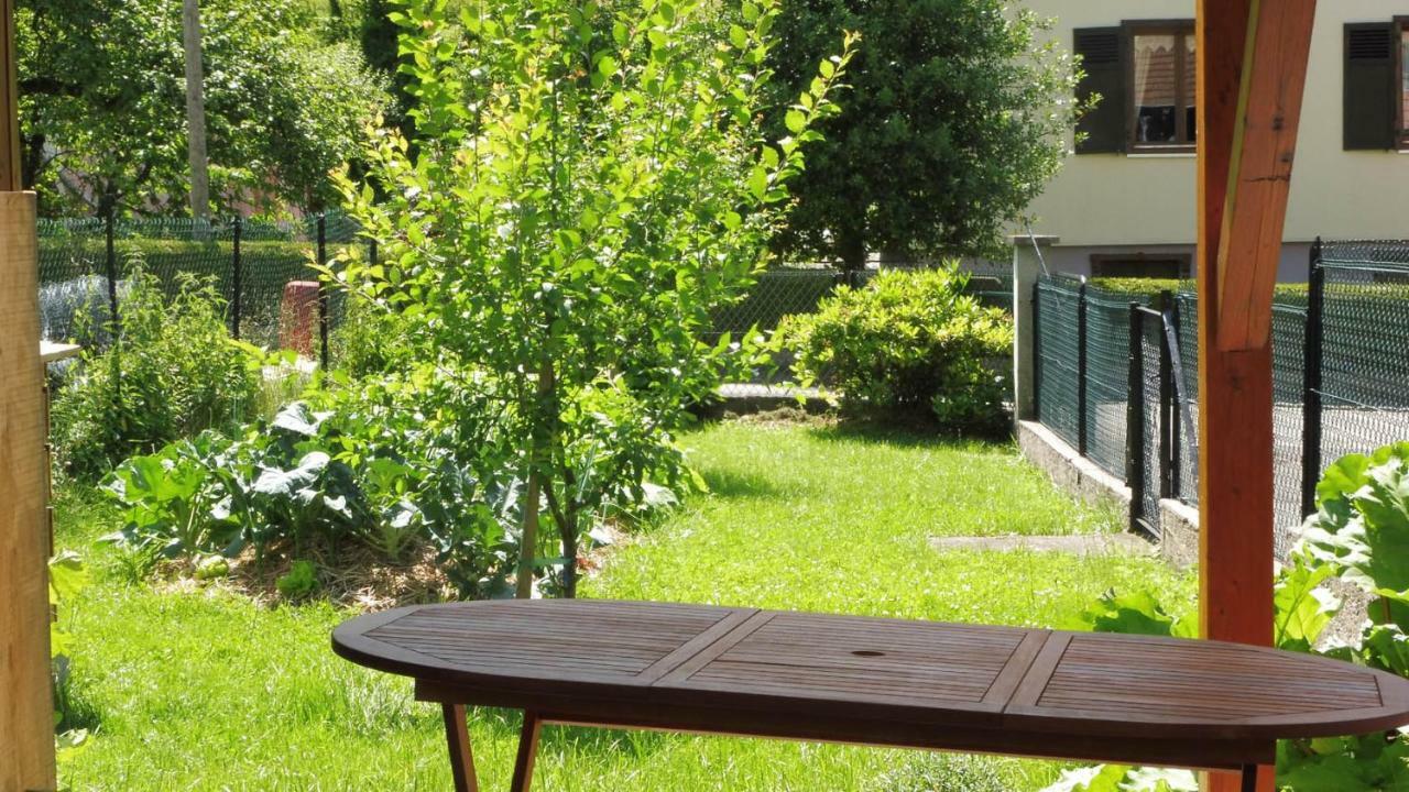 Spacieux et confortables gîtes à proximité randonnées, lacs, ski nature Sondernach Exterior foto