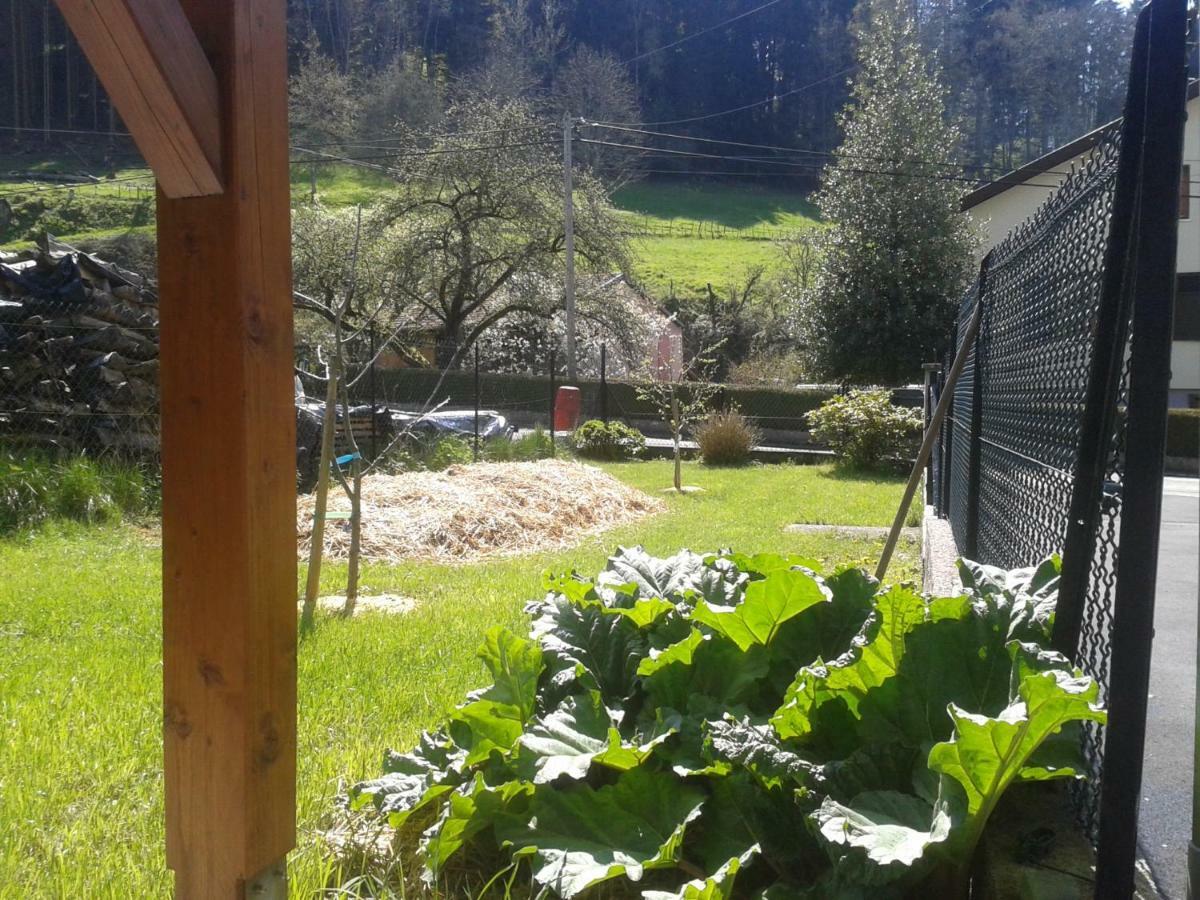 Spacieux et confortables gîtes à proximité randonnées, lacs, ski nature Sondernach Exterior foto
