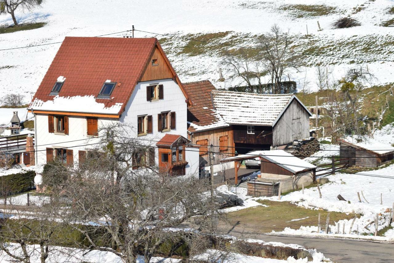 Spacieux et confortables gîtes à proximité randonnées, lacs, ski nature Sondernach Exterior foto