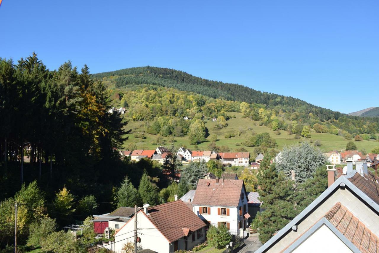 Spacieux et confortables gîtes à proximité randonnées, lacs, ski nature Sondernach Exterior foto