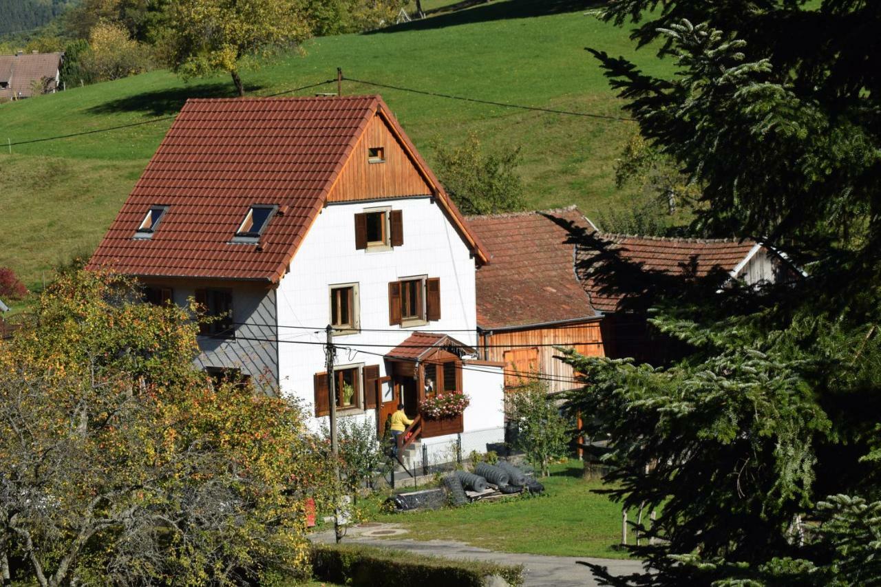 Spacieux et confortables gîtes à proximité randonnées, lacs, ski nature Sondernach Exterior foto