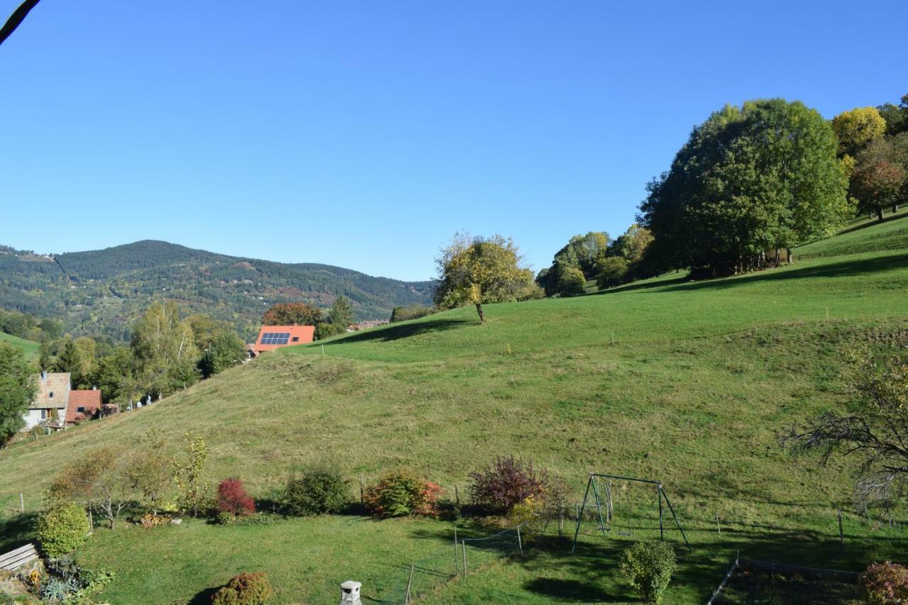 Spacieux et confortables gîtes à proximité randonnées, lacs, ski nature Sondernach Exterior foto