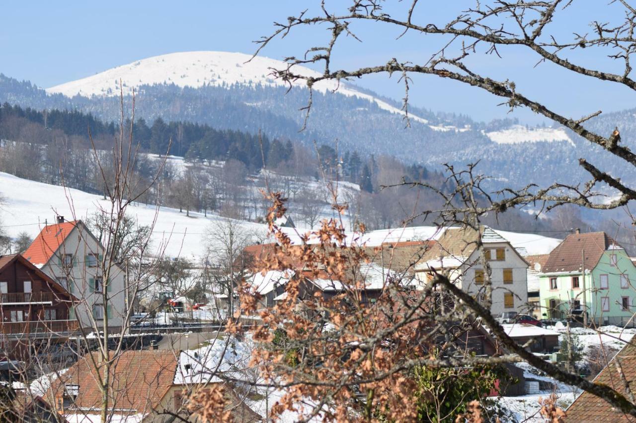 Spacieux et confortables gîtes à proximité randonnées, lacs, ski nature Sondernach Exterior foto