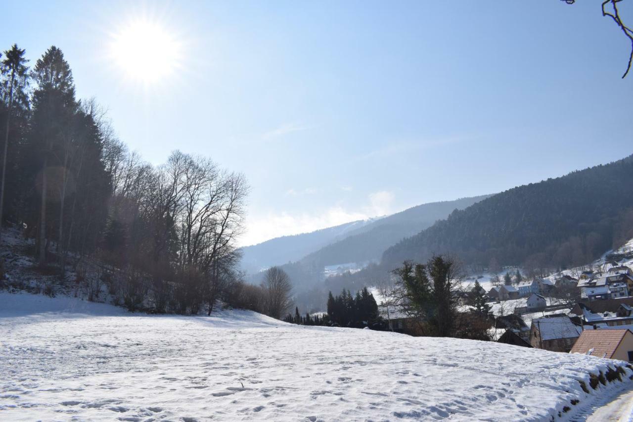 Spacieux et confortables gîtes à proximité randonnées, lacs, ski nature Sondernach Exterior foto